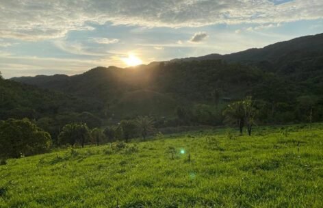 patrios_fazenda (11)