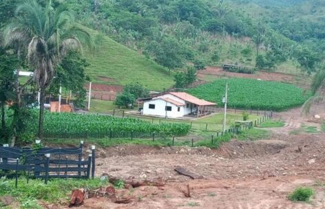 patrios_fazenda (12)